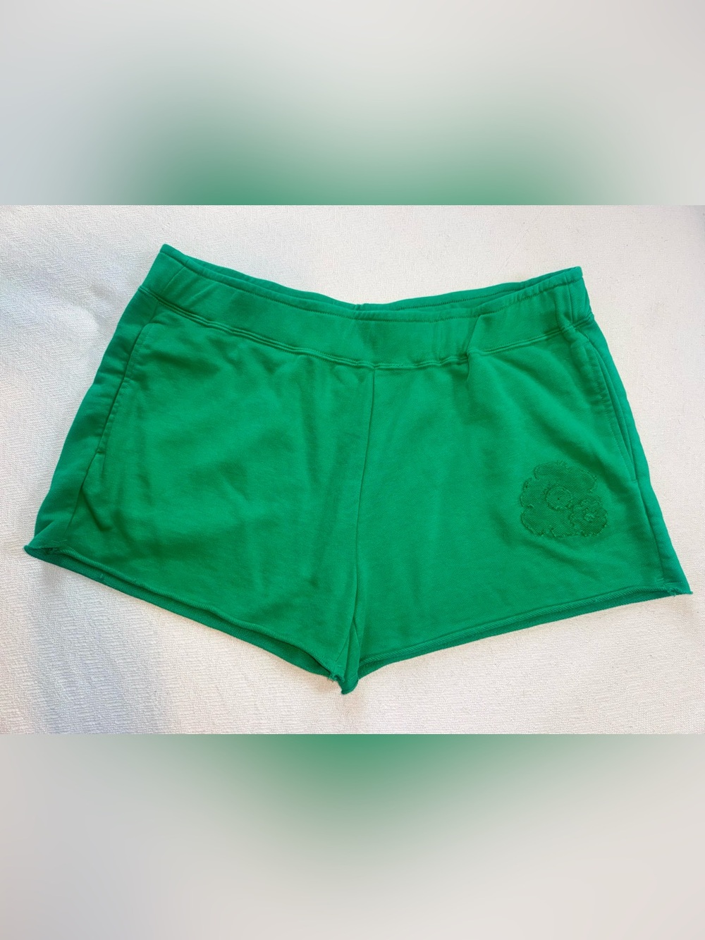Nike Women’s Kelly Green Athletic Shorts